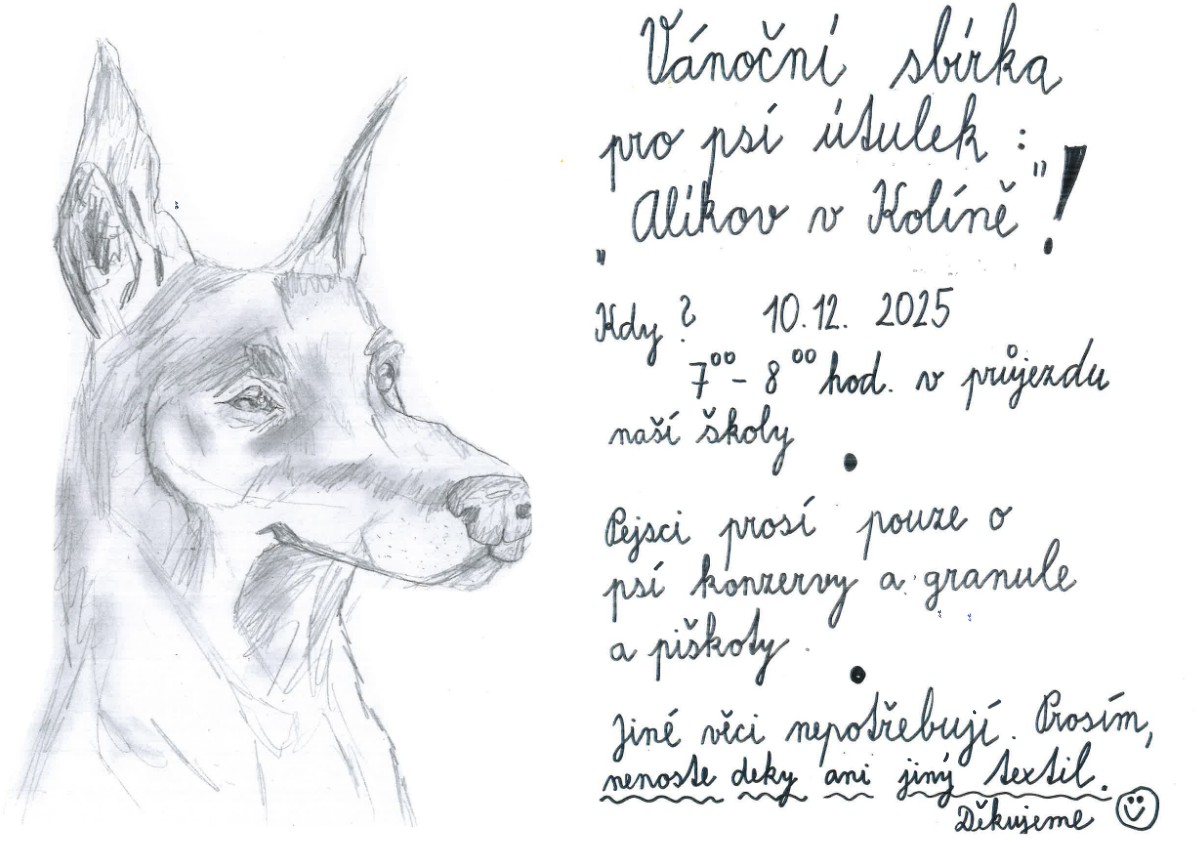 Vánoční sbírka pro psí útulek
