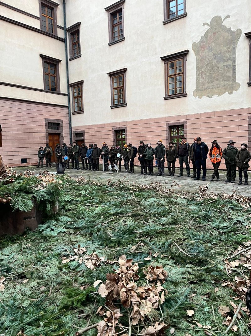 Lesní pedagogika 2026